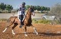 Rider participating in an endurance race. Royalty Free Stock Photo