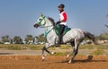 Rider participating in an endurance race. Royalty Free Stock Photo