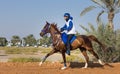 Rider participating in an endurance race. Royalty Free Stock Photo