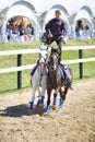 Rider performs the task with two horses at the