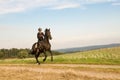 Rider rides at a gallop across the field. Royalty Free Stock Photo