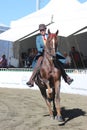 A rider riding beautiful brown American Saddle Horses at an agricultural show