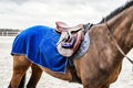 Rider riding a horse rushes a gallop, a sports horse