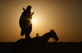 Rider in the Sahara