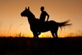 A rider silhouette on horseback at sunset Royalty Free Stock Photo