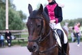 A rider in a smart red coat and white breeches on a bay horse. Selective focus