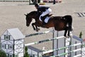 Rider triple jumps fence