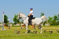 Rider on white arabian horse Royalty Free Stock Photo