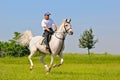 Rider on white arabian horse Royalty Free Stock Photo