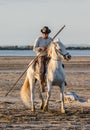 Rider on the White Camargue horse.