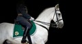 Rider on white Orlov Trotter horse, black background Royalty Free Stock Photo