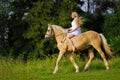 Rider woman blonde with long hair in a white dress with a train posing on a palamino horse Royalty Free Stock Photo