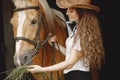 Portrait of rider woman feeding her brown horse Royalty Free Stock Photo