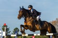 Rider Woman Horse Jumping Royalty Free Stock Photo