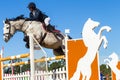 Rider Woman Horse Jumping