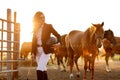 Rider woman with whip at the sunset Royalty Free Stock Photo