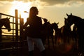 Rider woman with whip at the sunset Royalty Free Stock Photo