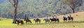 Riders Arrive For The Re-Enactment At The Man From Snowy River Bush Festival 2019