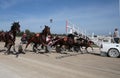 Horse harness race start wide Royalty Free Stock Photo