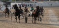 Horse harness race in mallorca hippodrome Royalty Free Stock Photo