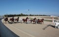 Horse harness race starting wide Royalty Free Stock Photo