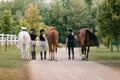 Riders in equestrian clothes holding the reins and leading horse, side view Royalty Free Stock Photo