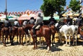Riders at horse in the Seville Fair, feast in Spain Royalty Free Stock Photo