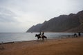 Riders on horseback gallop along the beach along the Red Sea in the Gulf of Aqaba. Dahab, South Sinai Governorate, Egypt