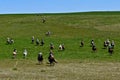 Riders and horses headed to a roundup