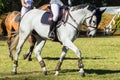 Riders Horses Women Royalty Free Stock Photo