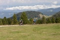 Rides Mountain bike