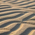 Ridge is delicately textured with tiny granules suggesting a sandy beach Royalty Free Stock Photo