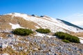 Ridge with dwarf pines in the foreground Royalty Free Stock Photo