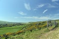 Ridge footpath above Corfe Castle