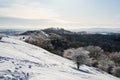 The ridge of the Malvern Hills covered in snow on a sunny winters day