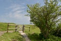 Ridge path above Corfe Castle Royalty Free Stock Photo