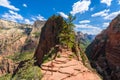 Ridge walk in beautiful scenery in Zion National Park along the Angel's Landing trail, Hiking in Zion Canyon, Utah, USA Royalty Free Stock Photo