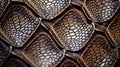ridges turtle shell texture