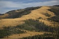 Ridges and yellow plains near Mt. Washburn in Yellowstone, Wyoming.