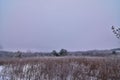 Ridgeway pine reluctant state natural area on a frosty day after freezing fog