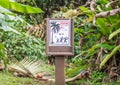 Ridiculous warning sign for falling coconuts Royalty Free Stock Photo