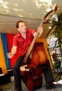 Riding the Acoustic Standup Double Bass Royalty Free Stock Photo