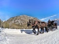 Riding through the Alps in Tyrol, Austria Royalty Free Stock Photo