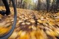 Riding bicycle. Abstract motion blur.
