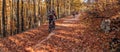 Riding bicycle through country roads in autumn Royalty Free Stock Photo