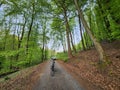 Riding a bike in the green forest. On the ground are brown leaves. Grey bike stay alone on the road.