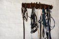 Riding bridle, tack and horseshoe in wall leather, rope and metal or steel on farm. Countryside, equestrian and wooden