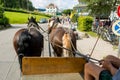 Riding a carriage pulled by a pair of horses.