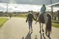 Riding children on a horse. A girl in the park with a horse. Amusement in the park