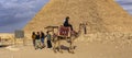 Riding on dromedaries. The great pyramid of Giza of Pharaoh Khufu Cheops